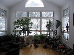 The snow through our living room windows