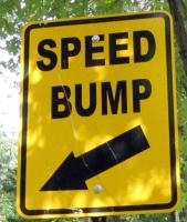 A rectangular 'SPEED BUMP' sign