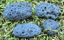4 volcanic rocks, riddled with holes