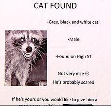 Ad to place a lost 'cat'