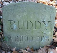 Headstone reading 'Buddy - a good dog'