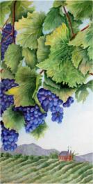 Painting of bunches of grapes on a vine